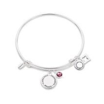 Karma February Birthstone Bangle - Silver