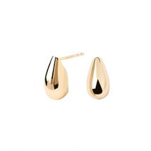 PDPAOLA Gold Sugar Earrings - Gold