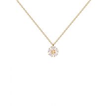 PDPAOLA Daisy Gold Necklace - Gold