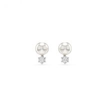 Swarovski Matrix Rhodium Plated Crystal Pearl Stud Earrings