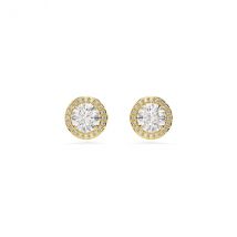 Swarovski Una Gold Round Cut Stud Earrings
