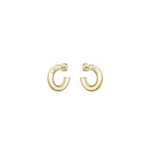 Boss Gold Live Hoop Earrings