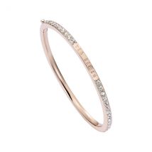 Ted Baker Rose Gold Claudia Pavé Hinged Bangle - Rose Gold