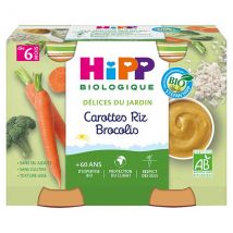 Hipp Bio Délices du Jardin Pot Carottes Riz Brocolis +6m 2 x 190g - Légumes -