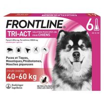 Frontline Tri-Act Chiens XL 40-60kg 6 pipettes -