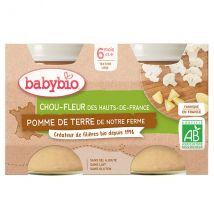 Babybio Légumes Pot Chou Fleur Pomme de Terre +6m Bio 2 x 130g - Légumes -