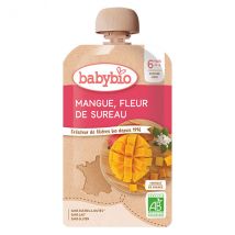 Babybio Fruits Gourde Mangue Fleur de Sureau +6m Bio 120g