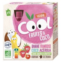 Vitabio Cool Fruits Gourdes Banane Framboise Lait de Coco Bio 4 x 85g