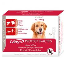 Canys Protec Bi-Actifs 268 mg /2400 mg Solution