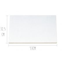 Planche à découper professionnelle polyéthylène blanc HD500 pieds antidérapants 52x32,5cm