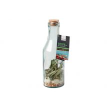 Mélange pour rhum arrangé Quai Sud Paradise Island mix en carafe framboise coco - 1l