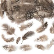 Natural Feathers (Pack of 120) Natural Craft Supplies