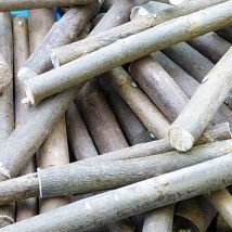 Natural Willow Branches (Per pack) Natural Craft Supplies