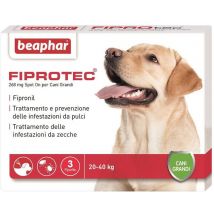 Beaphar Fiprotec Spot On per cani - 3 pipette da 268 mg per taglia grande (20-40 Kg)