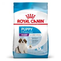 Royal Canin Giant Puppy - 15 kg - 1° ORDINE? scegli lo sconto BZR5 / BZR20 + 200 punti fedeltà