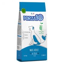 Forza10 Maintenance Maxi Adult al Pesce - 12,5 kg Croccantini per cani