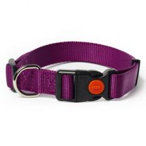 Collare in nylon regolabile a sgancio PetUp - viola - 40-50 cm x 2,5h cm - 1° ORDINE? scegli lo sconto BZR5 / BZR20 + 200 punti fedeltà