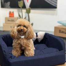 Cuccia per cani da interno Solid Blu Fabotex - Blu - misura 55 - Cucce per cani da interno - 1° ORDINE? scegli lo sconto BZR5 / BZR20 + 200 punti fedeltà