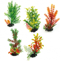 Decorativo per acquario Flora On Pebbles Amtra - 0,18-0,20 m - Series 1
