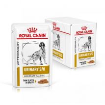 Royal Canin Urinary S/O Moderate Calorie Multipack - 12 bustine da 100 gr Cibo Umido per Cani