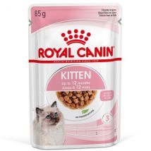 Royal Canin Kitten Gravy Cat Wet Food - 85 gr Confezione da 12 pezzi Cibo umido per gatti