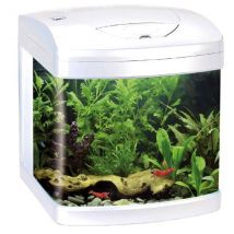 Acquario Xcube 26 Led Amtra - Bianco - 1° ORDINE? scegli lo sconto BZR5 / BZR20 + 200 punti fedeltà