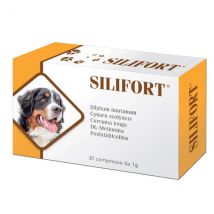 Aurora Biofarma Silifort Compresse cane e gatto - 30 compresse da 1g - 1° ORDINE? scegli lo sconto BZR5 / BZR20 + 200 punti fedeltà