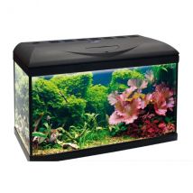 Acquario Basic Led Amtra - 80 - 1° ORDINE? scegli lo sconto BZR5 / BZR20 + 200 punti fedeltà