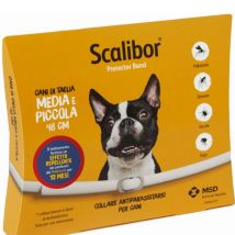 Scalibor Collare Antiparassitario per Cani - 1 collare da 48 cm - Antiparassitario per cani - 1° ORDINE? scegli lo sconto BZR5 / BZR20 + 200 punti fedeltà