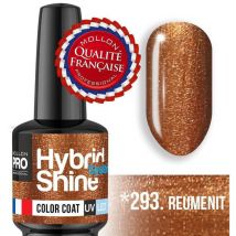 Mini Vernis Semi-Permanent Hybrid Shine Mollon Pro 8ml N°293