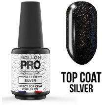 Top coat Master silver Mollon Pro 10ML