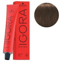 Coloration Igora Royal 5-65 châtain clair marron doré Schwarzkopf 60ML