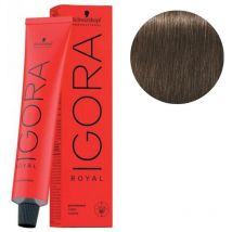 Coloration Igora Royal 6-00 blond foncé naturel extra Schwarzkopf 60ML