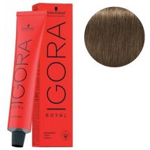 Coloration Igora Royal 7-00 blond naturel extra 60ML