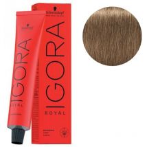 Coloration Igora Royal 8-00 blond clair naturel 60ML