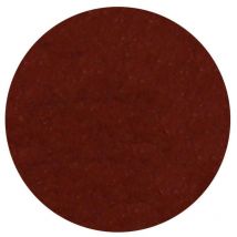 Fard à paupière mat Terre sauvage Parisax Professional