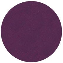 Fard à paupière mat violet irisé Parisax Professional