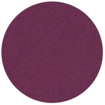 Fard à paupière mat cassis Parisax Professional