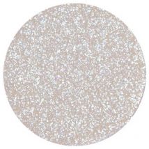 Fard à paupière blanc argenté Parisax Professional