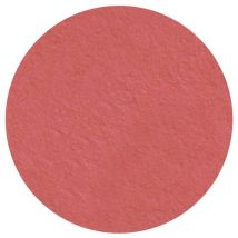 Fard à paupière mat rose d'antan Parisax Professional