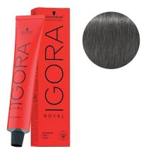 Coloration Igora Royal 6-12 blond foncé cendré plus Schwarzkopf 60ML