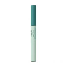 Stylo 2-en-1 anti-imperfections Pâte Grise Payot 2x3ml