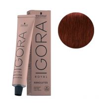 Igora Royal Absolutes 6-80 Blond Foncé Rouge Naturel 60 ML