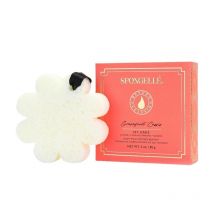 Éponge infusée Boxed Flower boîte cadeau pamplemousse cassis (14+ utilisations) Spongellé 85g