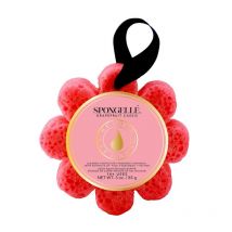 Éponge infusée Wild Flower rouge pamplemousse cassis (14+ utilisations) Spongellé 85g