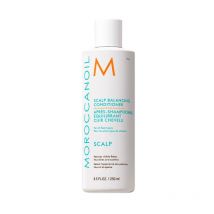 Après-Shampooing cuir chevelu sec Scalp Moroccanoil 250ml