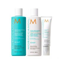 Routine purifiante Scalp Moroccanoil