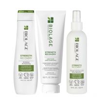 Trio cheveux abîmés Strength Recovery Biolage