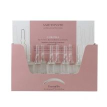 Lotion restauratrice Re-Vital Amethyste Chroma Farmavita 10x10ML