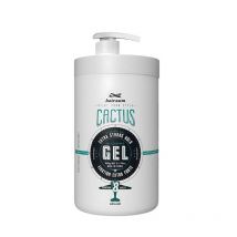 Gel fixant cactus 900 Grs